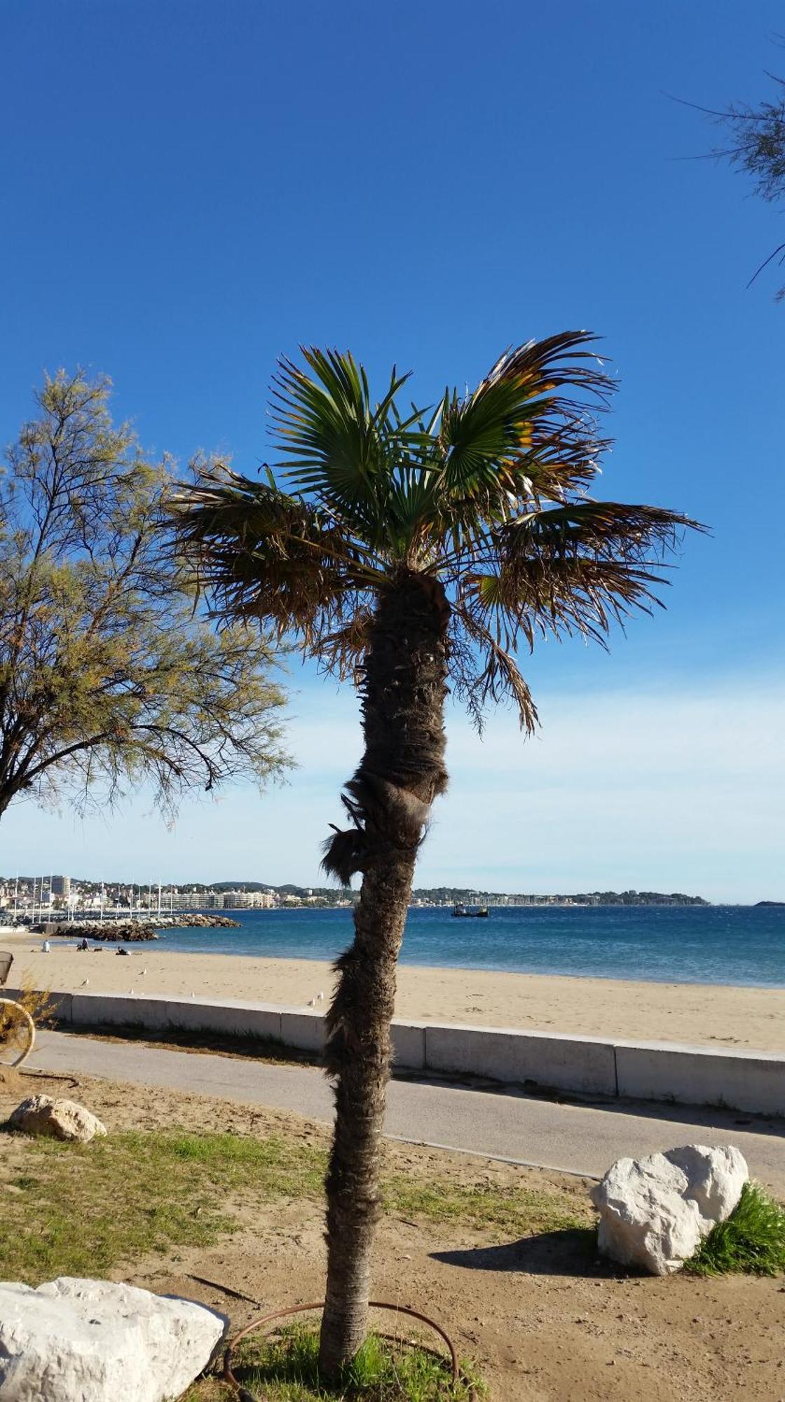 Sublime Vue Mer,Parking,Wifi Fréjus Exterior photo